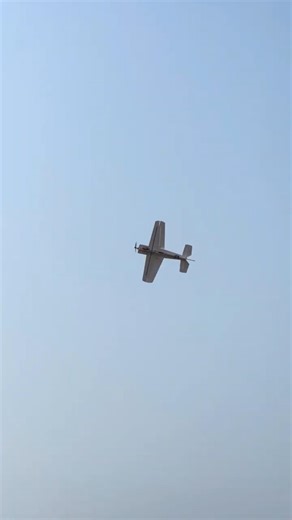 3D Flying 🚀 | #rcplane #trending #foryou