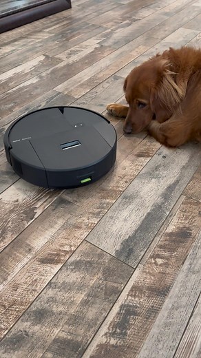 Get your time back! With the Roomba® 205 DustCompactor™ Combo robot, you get up to 60 days of hands free clean!