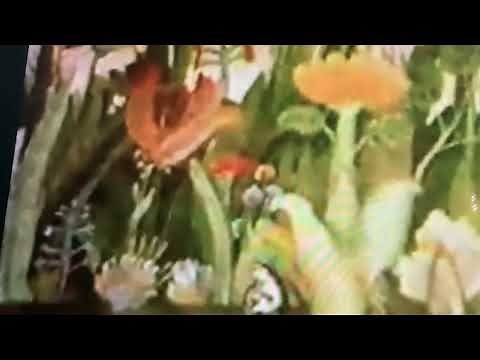 Sesame Street The Frog and The Ox