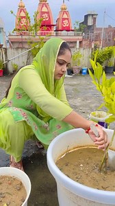 34M views · 772K reactions | Maa or saasu maa me kya farak 﫣藍… #comedy #comedyvideos #funnymoments #hindicomedy #indiancomedy #couplecomedy #funnyreels #funnyvideo #masti #reel #desicomedy #comedyvine #reels #funny #funnymemes | Anita Dalal | Facebook