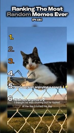 Ranking The Best Random Memes Ever.. 💯 #shorts