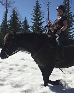 20 deg C and a foot of snow = perfect riding conditions! #canadianhorse #offgridhomestead | Gridlessness