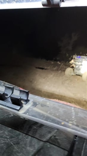 Girls Having Fun Playing in the Mud