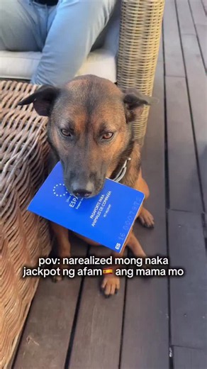 nadala sa snow🇵🇭✈️🇪🇸 at nagka spanish pet passport #aspininspain #Tokoy #rescuedog 📅 Throwback: May 2026