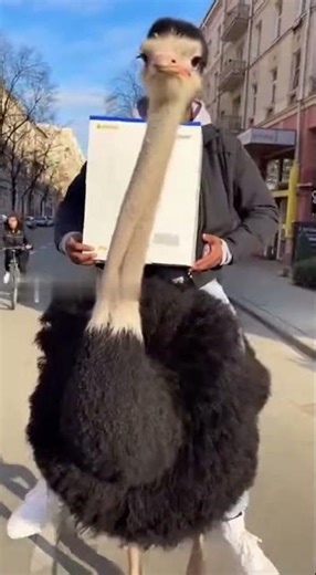 #marzy #доставка #cat #funny #memes #кино #ps5 #ps4