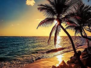 DIY 5D Diamond Painting by Number Kit,Round Drill Embroidery Cross Stitch Arts Craft Home Night Beach View 11.8 X 15.7 Inch