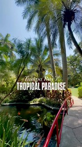 390K views · 7.3K reactions | Explore lush tropical gardens in the...
