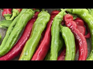 Congeler les piments doux.