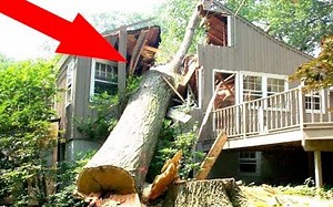 秋天最搞笑悲剧失败集锦 // BEST FAILS of Fall 2018