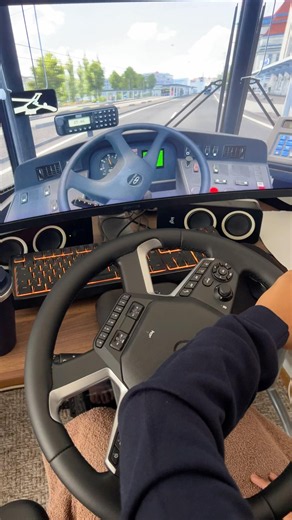 Euro Truck Simulator Realistic Driving with HORI Force Feedback Wheel #eurotruck #ets2