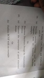 19. (a) Describe various notations used in ER Diagram with an E... | Filo