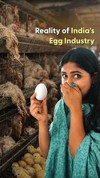 India's Egg Industry Has A Dirty Secret