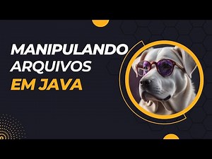 Manipulação de Arquivos em Java: Leitura e Escrita Simplificadas