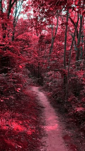 I Will Stand by You by Rascal Flatts #rascalflatts #standbyyou #thereforyou Reminiscing through my pictures Hope you Enjoy ❤️ ( I don't own rights to this music ) | John Michael Hazelwood