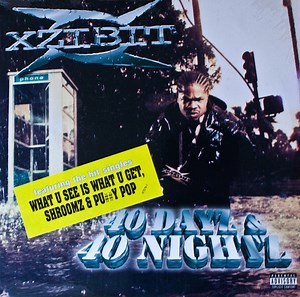 Xzibit - 40 Dayz & 40 Nightz