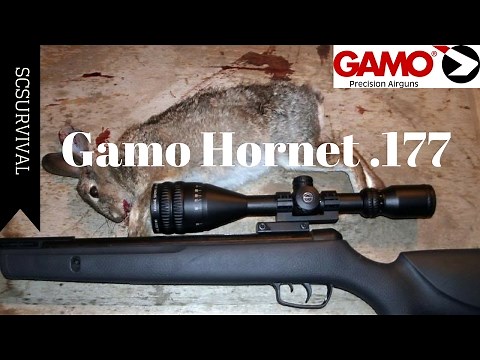 Gamo Hornet Pellet Rifle .177 Caliber Table-Top Review