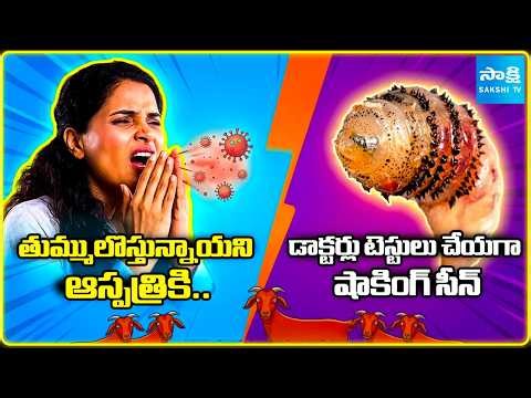 She Sneezed… and a Worm Came Out! 😱 Rare Fly Infection Shocks Doctors‪@SakshiTVDigital‬