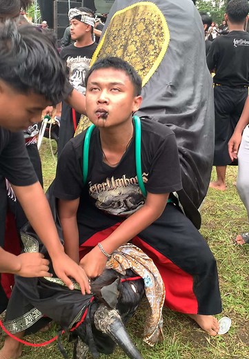 #leterumboys #bantenganlumajang #pmberottt🦬 #gayeng #kalapleterumboys