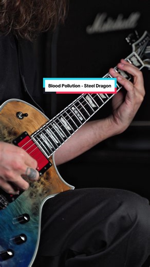 Blood Pollution Guitar Cover by Steel Dragon