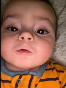 10K reactions · 286 shares | baby talking videos | Sebby Sebastian | Facebook