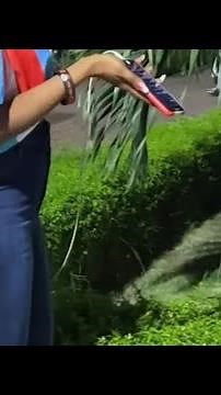 Kiss Or Grab - Episode 8