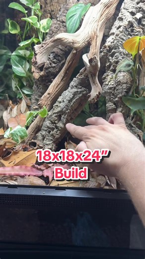 How to build a bioactive 18x18x24” reptile enclosure.