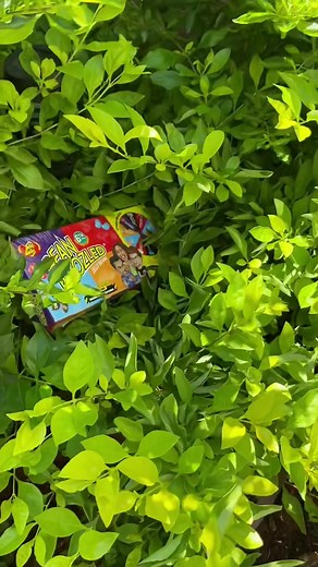 Join die live boys and girls 🤢🤮😂#fyp #janeekyk #beanboozled