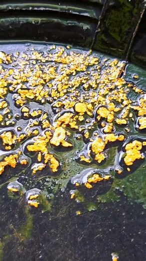 4.2K views · 81 reactions | Lets get this Gold!! | Find Gold | Facebook