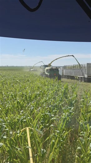Can't beat silage season | High Plains Farmer