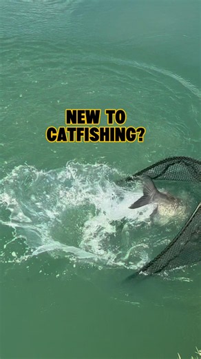 CATFISH Fishing For BEGINNERS! 🎣🐟 #shorts #fishing #catfish