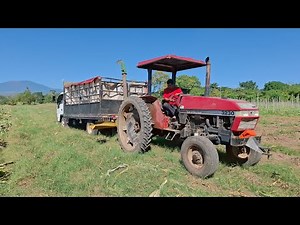 Working with the CASE INTERNATIONAL 3230 tractor