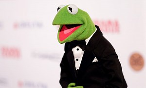 Kermit the Frog honoured to be the first amphibian archived in the US Library of Congress