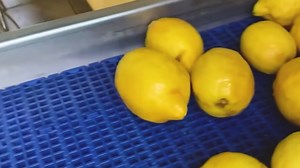 Inside the World of Innovative Food Processing in Modern Factories