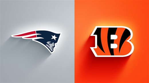 Patriots vs. Bengals highlights | Week 12