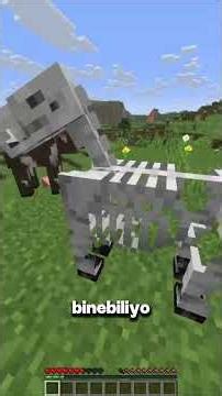 Minecraft! But when you SUBSCRIBE, a live character spawns next to me...