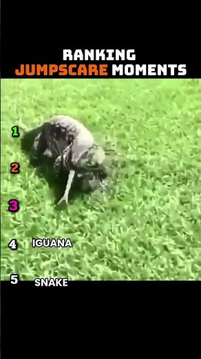 Ranking the Funniest Jumpscare Moments! 😂 #shorts #jumpscares #funny