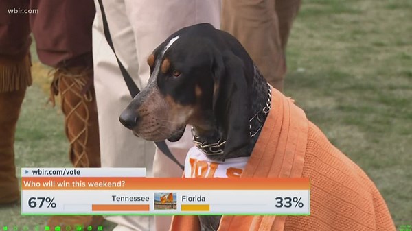 Happy 66th birthday, Smokey!!