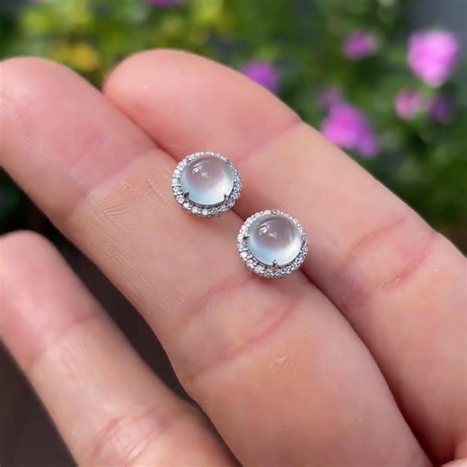 Glassy Jade Cabochon Earrings (NJE283)