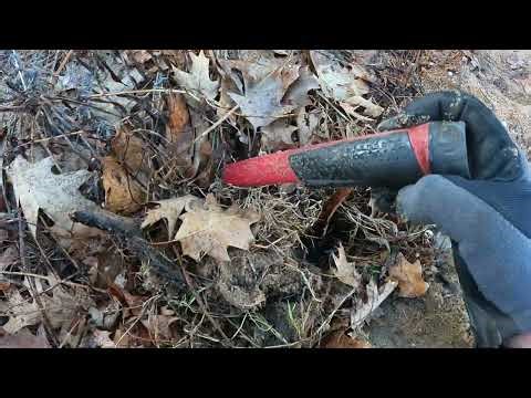 Michigan Beach Treasure with the XP Deus II Metal Detector