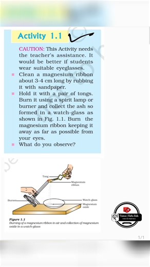 Burning Of Magnesium Ribbon | Activity 1.1 class 10 science #shorts #youtubeshorts #viralshorts