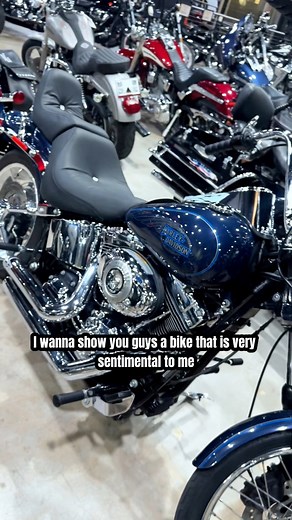 The Harley Davidson softail customs hold a place in my heart..comment below what bike means a lot to you! #rideorrot #softail #harleydavidsonsoftail #softailstandard #harleydavidson #biker #bikertok #motorcycles #MotorcycleLife #DaytonaRiders #HarleyCulture Teddy Morse's Daytona Harley-Davidson | Nick Middaugh