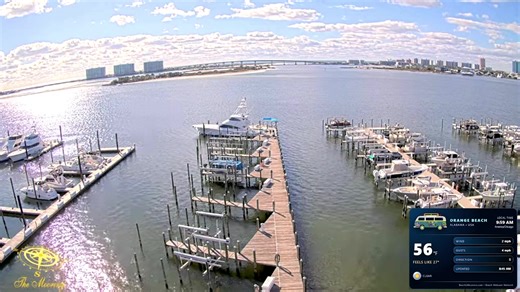 🌴🌊 LIVE Beach Webcams 01.16.2026 | 24/7 Beaches From Around the World 🌊🌴 Relax, explore, and travel the world in real time with this LIVE beach webcam collection from January 14, 2026, streaming 24/7 from some of the most beautiful beaches, resorts, restaurants, cruise ports, and waterfront destinations across the globe. SEE ALL OF THE CAMS AT https://BeachLifeLovers.com Whether you’re checking beach conditions, planning a vacation, dreaming of your next getaway, or just love watching the oc