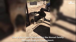 72K views · 195 reactions | SWEET REUNION 殺 Ft. Campbell Captain Terrance Williams was reunited with his pups, Zeus and Aires, after a 10-month deployment. Welcome home, hero!! https://bit.ly/3fZadsb | WZTV FOX 17 News, Nashville | Facebook