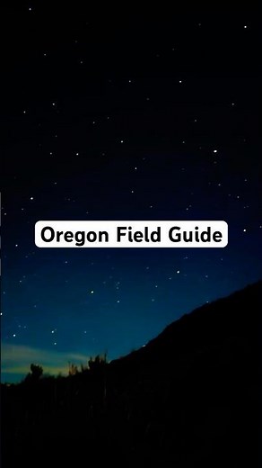 🌲🥾 New episodes of Oregon Field Guide coming soon 🐈👣 #oregonfieldguide