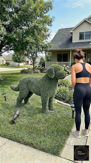Building a giant dog-shaped garden sculpture #gardening #diy