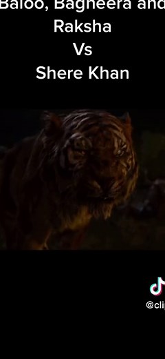 Baloo bagheera and raksha protect mowgli from shere khan #junglebook #2016 #liveaction #disney #doramilaje #wakandaforever #bagheera #baloo #mowgli #sherekhan