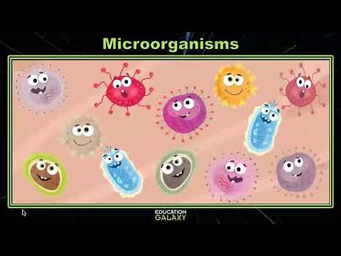 5th Grade - GA Science - Microorganisms - Topic Overview