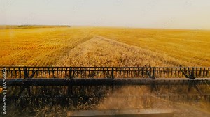 Harvesters for harvesting grain while working. View from the combine harvester cab, harvesting machinery in the field. Harvest season. Grain harvesters works in the wheat field in slow motion video