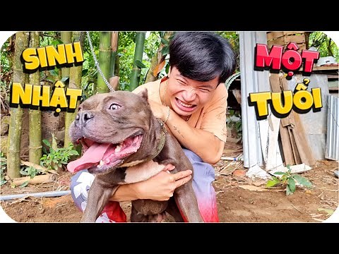 Tony | 1 Ngày Nuôi Thú Cưng 🐶 Tập 3