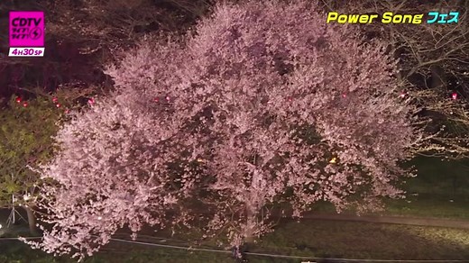 LittleGleeMonster / ECHO #littlegleemonster #リトグリ #echo #応援ソング